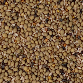 PSG Clover Based Pasture Mix