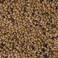 PSG Clover Based Pasture Mix