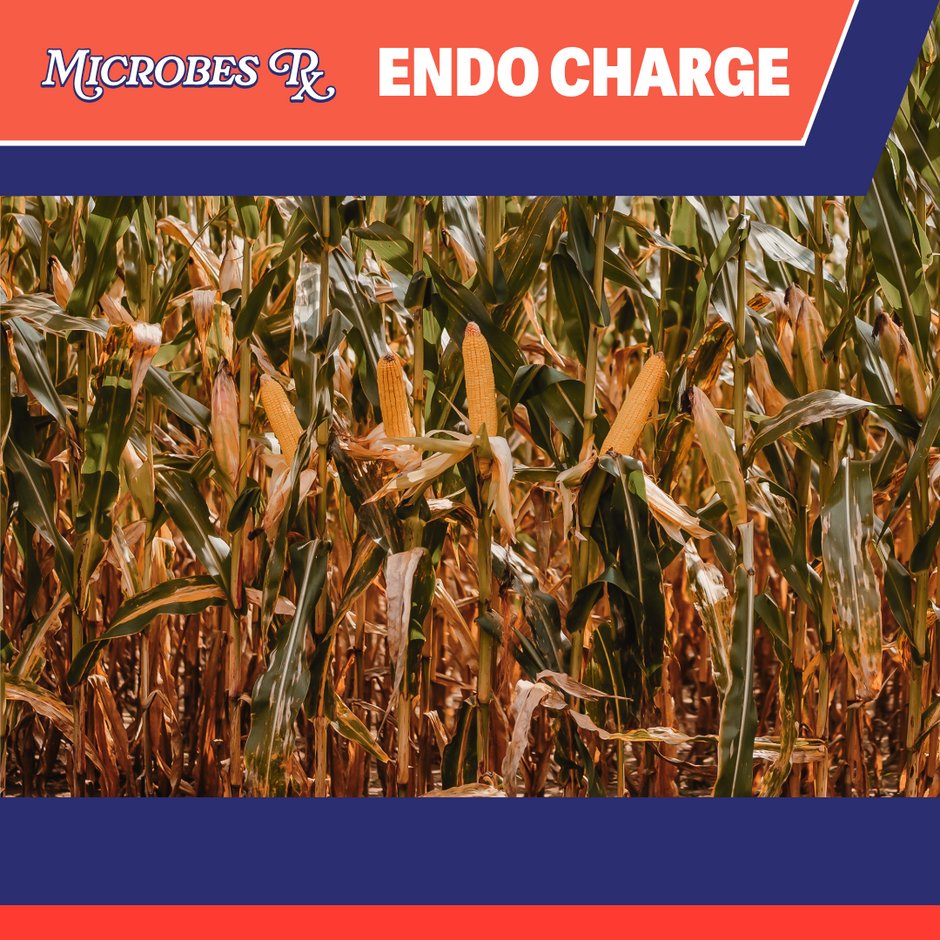 Microbes RX – Premium Seed Genetics