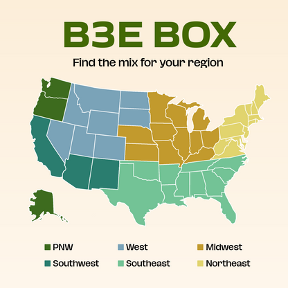 B3E Box Pollinator Garden Kit | Regional Wildflower Seed Mix | 100 sq ft All-in-One Kit
