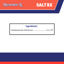 Salt Rx