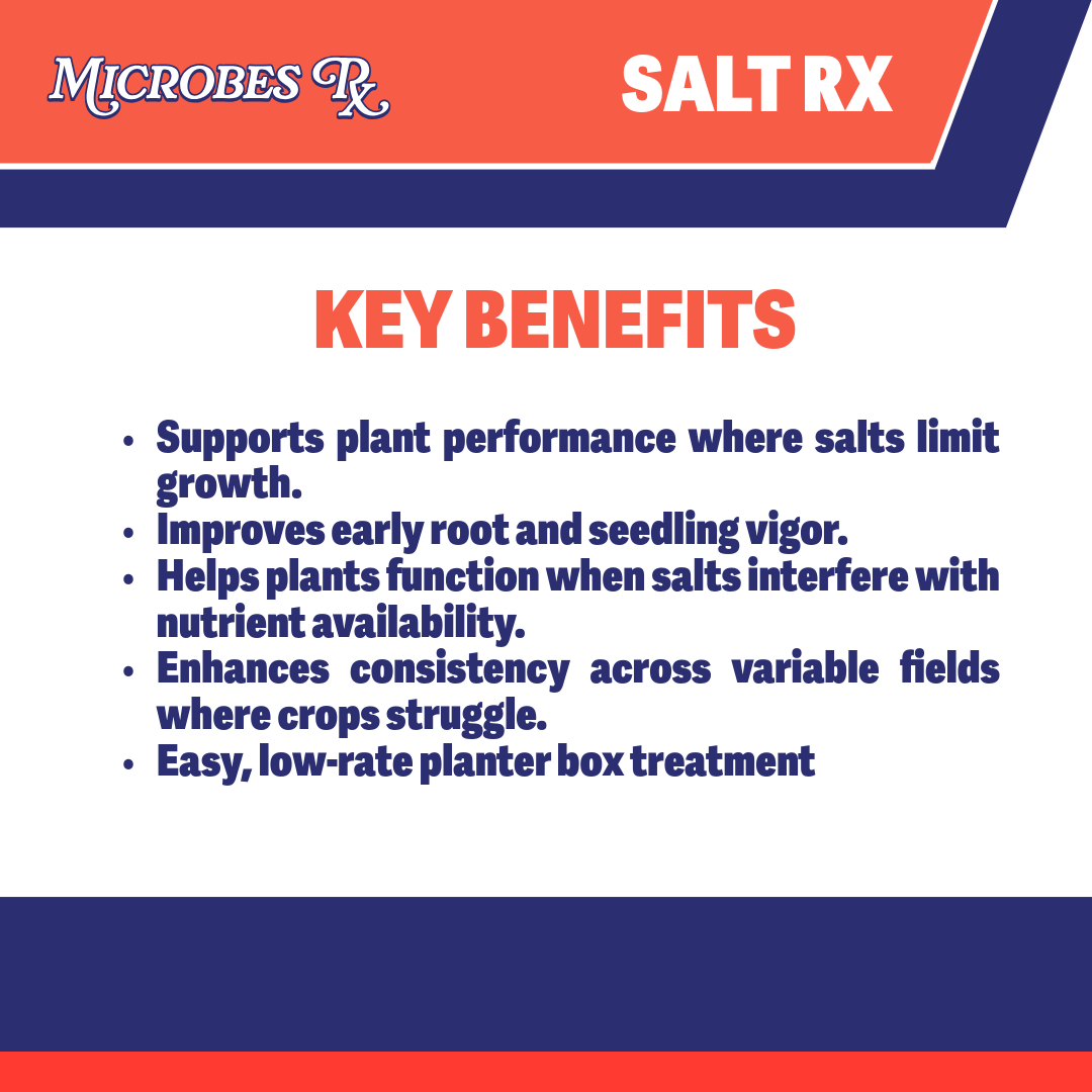Salt Rx